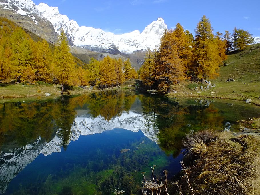 lago bleu, valle d'aosta, lembah aosta, danau, cermin, mencerminkan, musim gugur, kuning, warna, alam