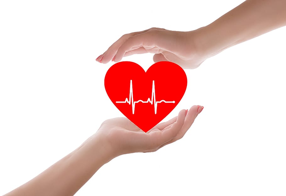 coração, cuidados com o coração, saúde do coração, médico, cuidados, médicos, saúde, amor, cuidados de saúde, vermelho