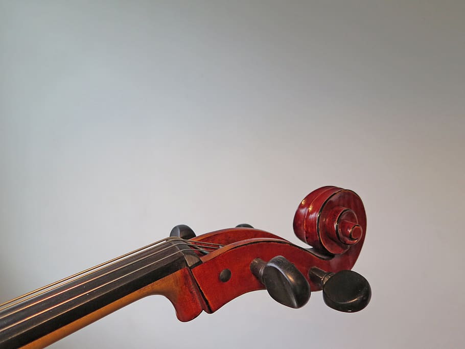 violonchelo, cuerdas, instrumento, eddy, estado de ánimo, instrumento de cuerda, diapasón, Foto de estudio, en interiores, música
