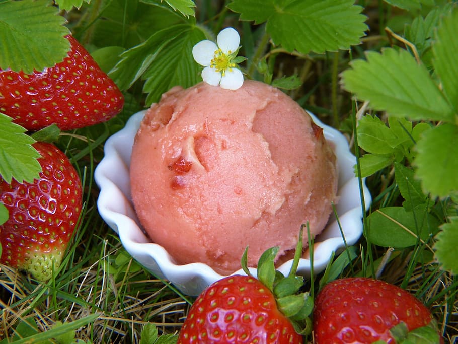 straw err, strawberry ice cream, strawberries, ice cream, nature, garden, leaves, strawberry plants, blossom, bloom