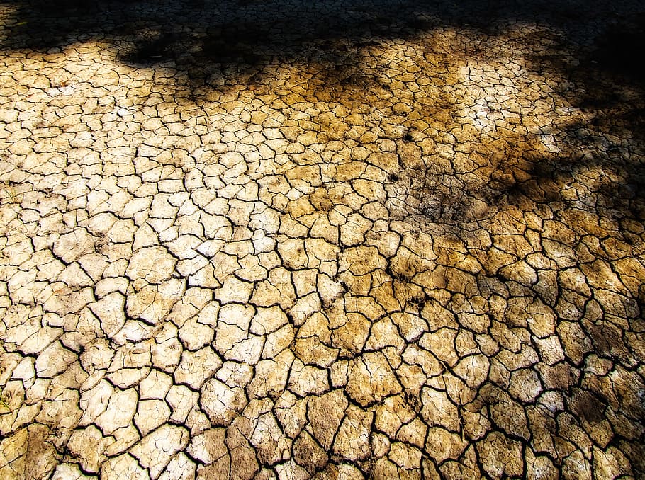 cracked earth, dry land, mangue, northeast, dry, backcountry, climate, cracked, arid climate, high angle view