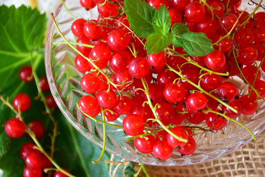 cherry, tomatoes, leaves, currants, red, red currant, fruit, garden currant, berries, fruits