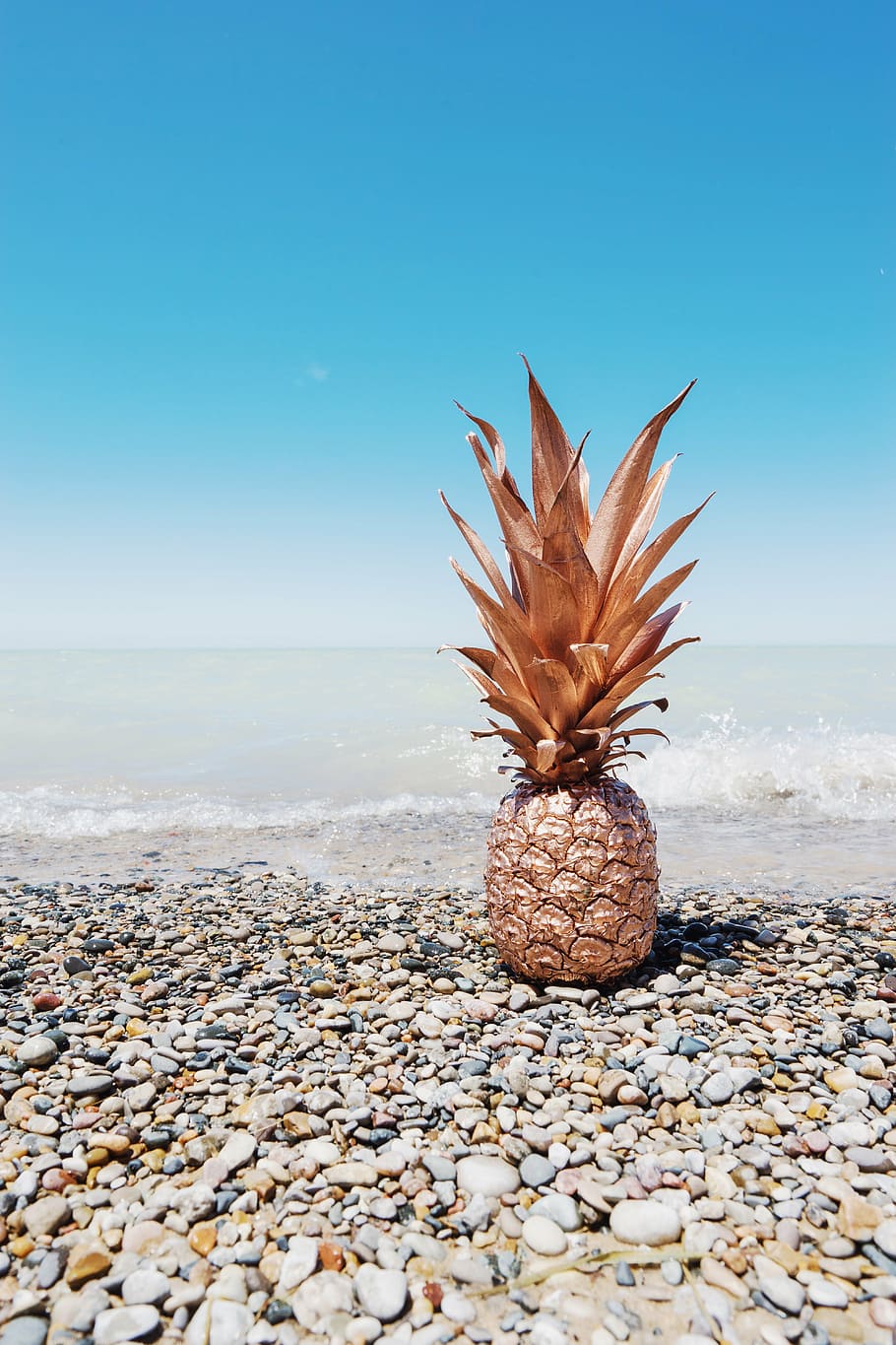 brown, pineapple, seashore, daytime, dessert, appetizer, fruit, juice, crop, beach