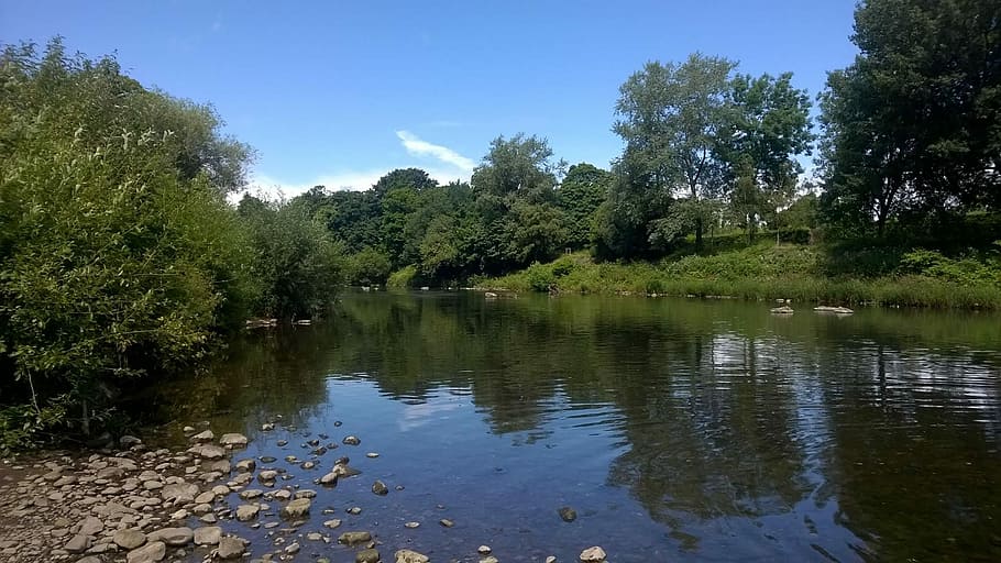 Río, lento, almeja, rocas, verano, todavía, Gales, agua, reflexión, árbol