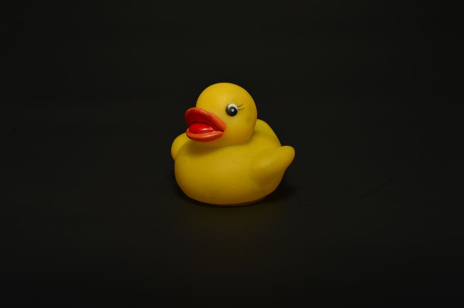 duck, toy, adorable, baby, duck rubber, pet, rubber duck, animal representation, representation, yellow