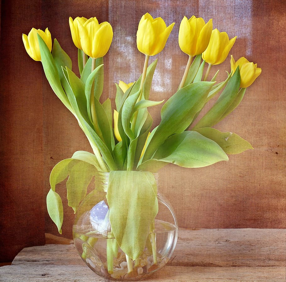 amarelo, flores tulipa, claro, peça central do vaso de vidro, tulipas, buquê, flores amarelas, flores da primavera, flores cortadas, vaso