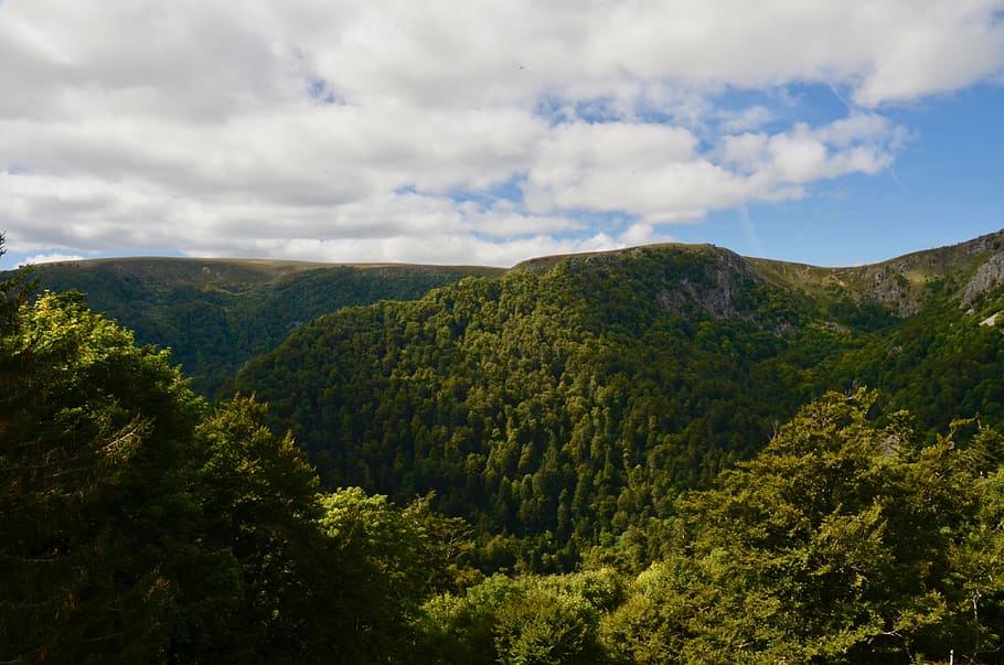 vosges, mountains, landscape, nature, forest, mountain forests, green, hiking, trees, france