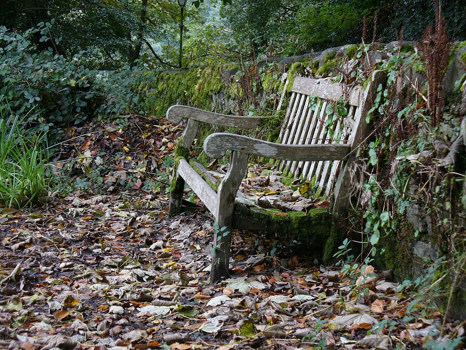 Garden, Bench, Autumn, garden bench, autumn leaves, chair, wood - material, forest, outdoors, woodland