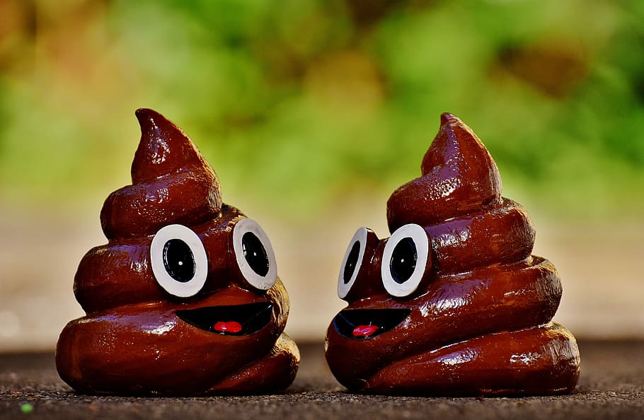 shallow, focus photography, two, brown, poop figurines j, pooh, ceramic, figurines, kot, hundehaufen