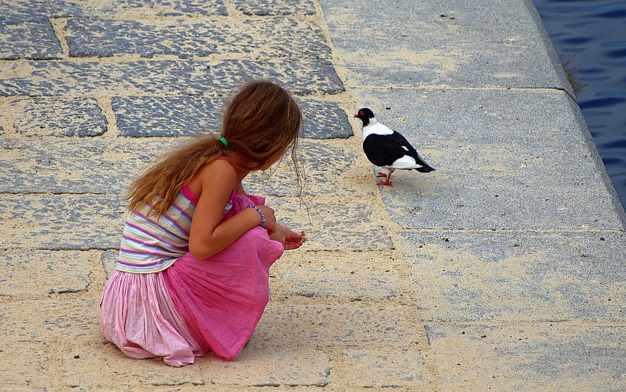 girl, pigeons, feed, attract, young people, sit, watch, portrait, human, young
