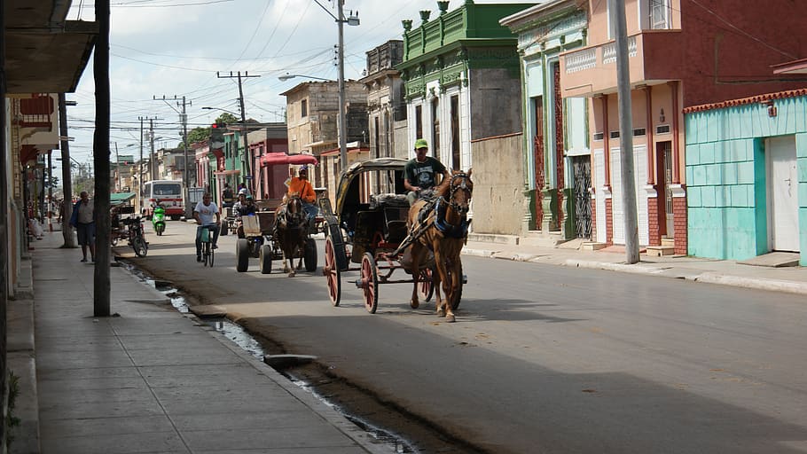 Cuba, ciudad de carruajes tirados por caballos, tráfico, ciudad, arquitectura, exterior del edificio, calle, estructura construida, transporte, animales domésticos