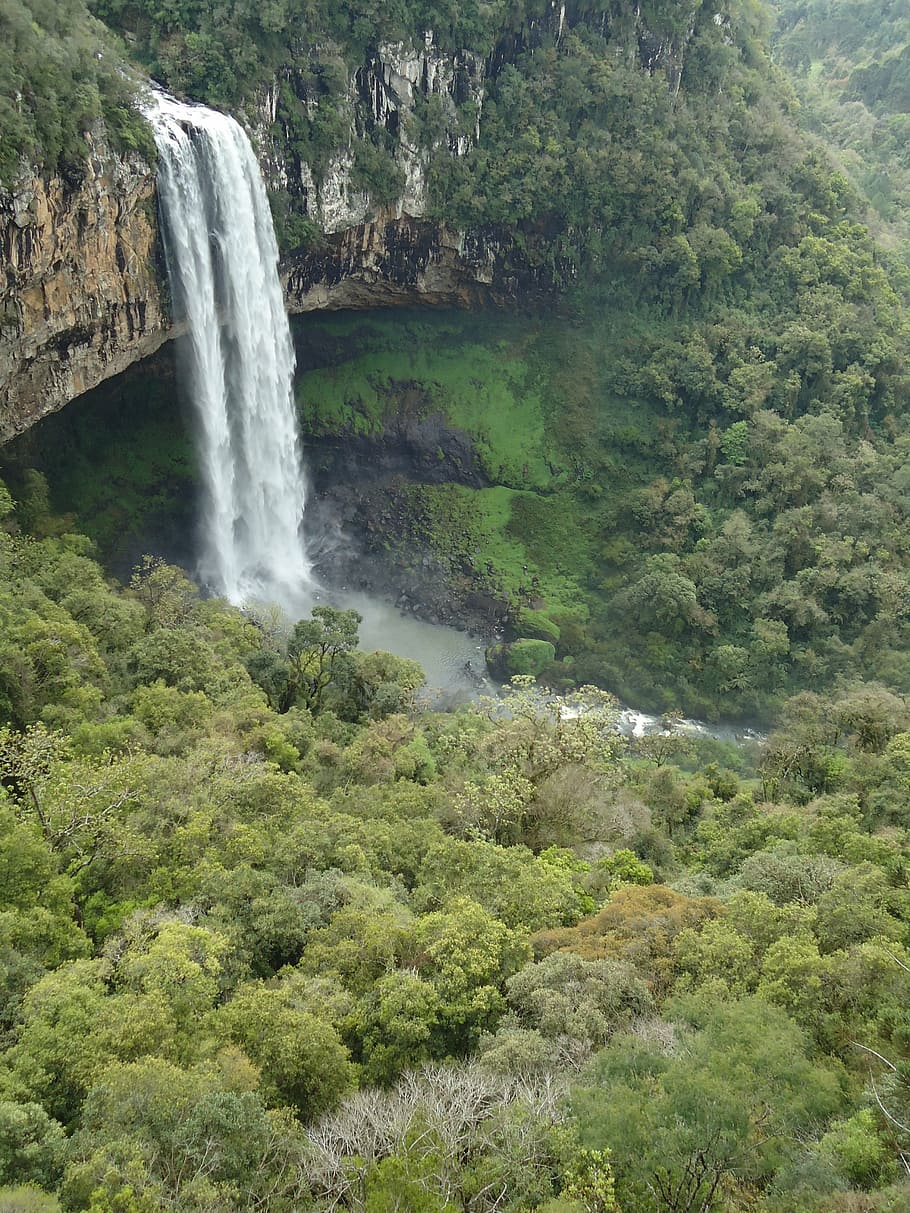 serra gaucha, waterfall, bridal veil, cinnamon, water, beauty in nature, scenics - nature, tree, motion, plant