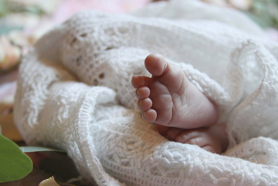 bebê, pé, dedos dos pés, cobertor, criança, recém-nascido, pequeno, pés, sono, maternidade