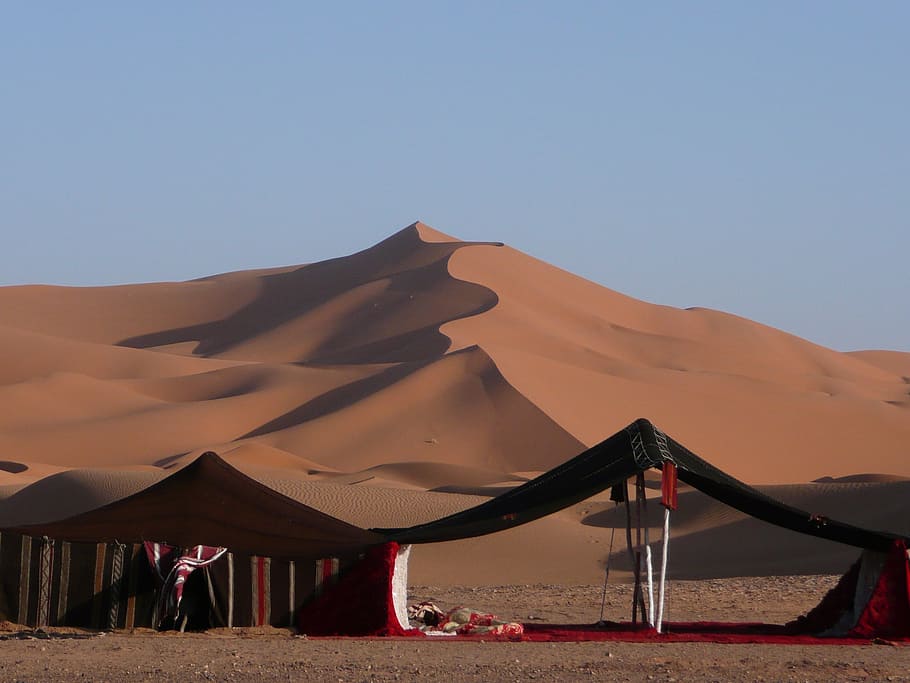 brown mountain illustration, desert, camp, morocco, nature, africa, marroc, sand, dunes, dune