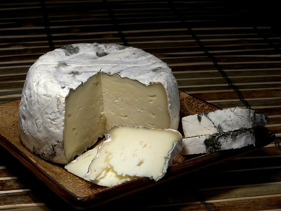 st pat cheese, milk product, food, ingredient, eat, snack, delicious, fat, albuminous, healthy