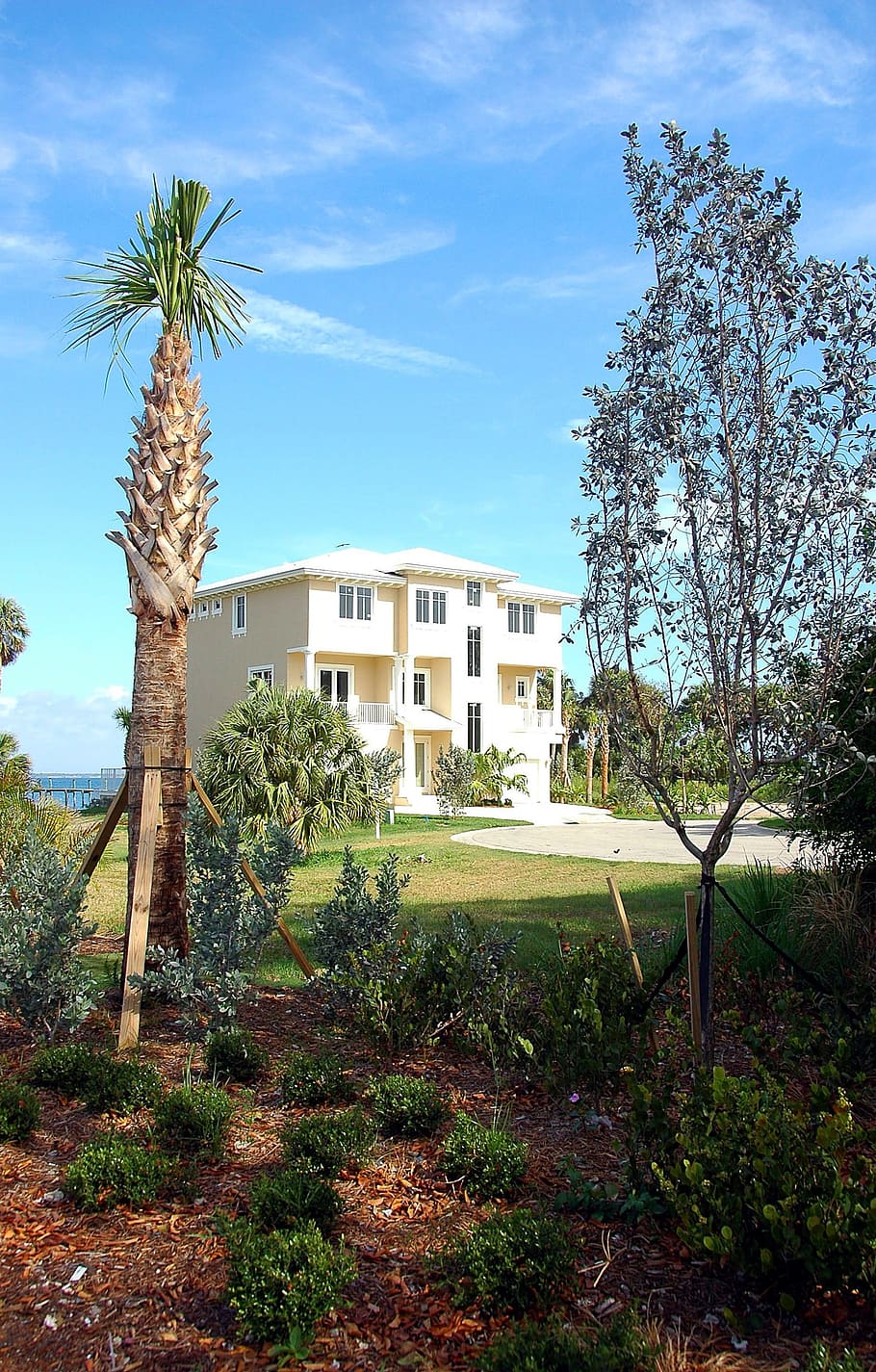 Beach, Home, Florida, Tropical, beach home, palm trees, landscape, luxury, upscale, house