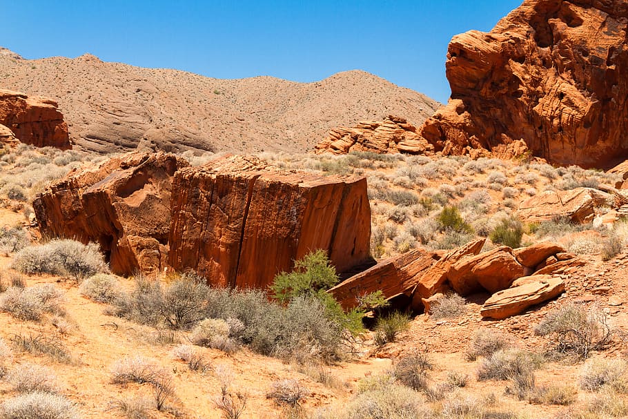 desert, rocks, red, landscape, drought, dirt, terrain, dry, formation, wilderness