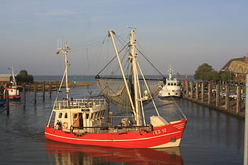 Royalty-free Shrimp Boats photos free download