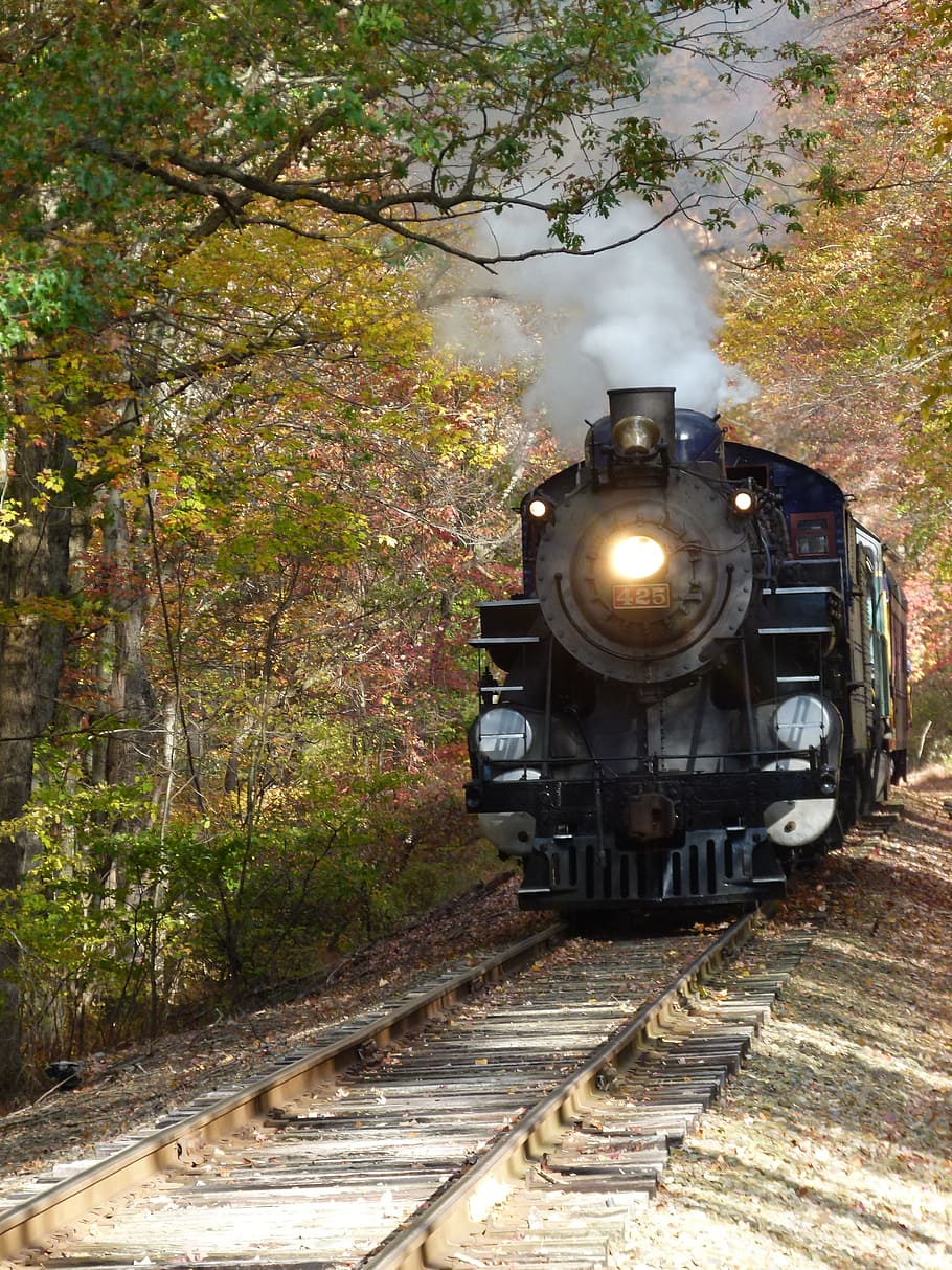 Trem a vapor, locomotiva, trem, vapor, motor, ferrovia, vintage, preto, história, velho