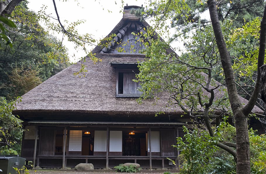 marrón, casa, rodeado, verde, hojeado, árboles, blanco, cielo, el yanohara, casa japonesa