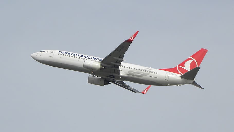 boeing, b737-800, thy, turkish, airport, plane, in the air, flight, taking off, air vehicle