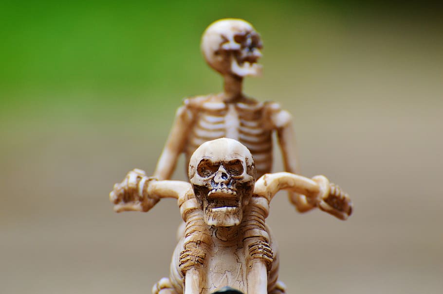 esqueleto, equitação, motocicleta esqueleto, motociclista, assustador, estranho, decoração, osso, horror, crânio e ossos cruzados