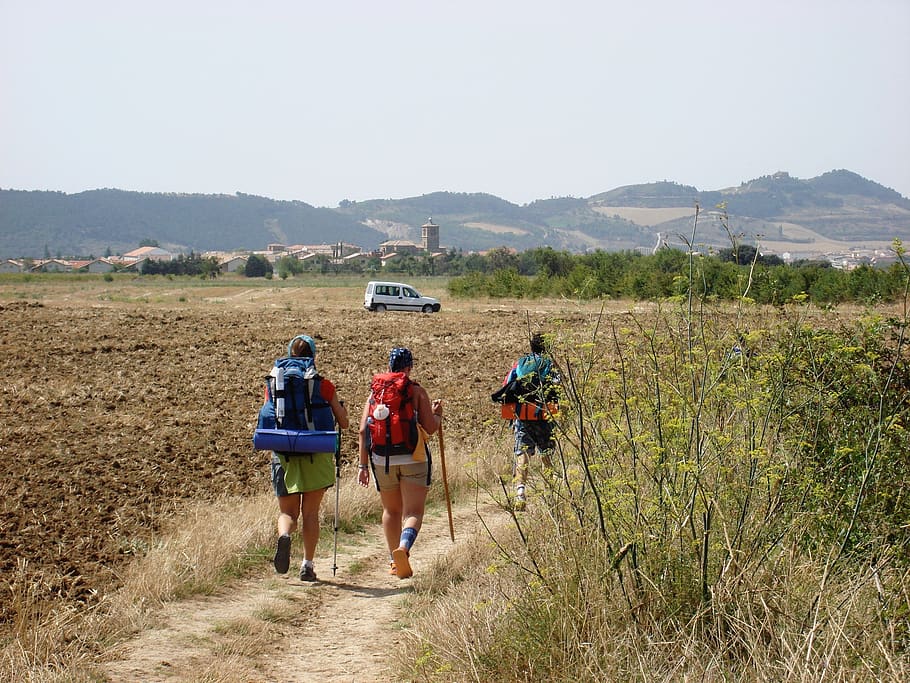 pilgrims, way of st james, camino santiago, galicia, walk, field, path, walker, nature, walking
