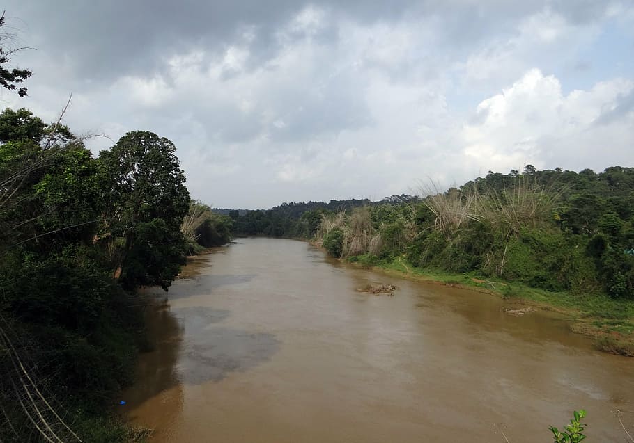 river, cauvery, kaveri, monsoon flow, kodagu, india, nature, forest, tree, thailand