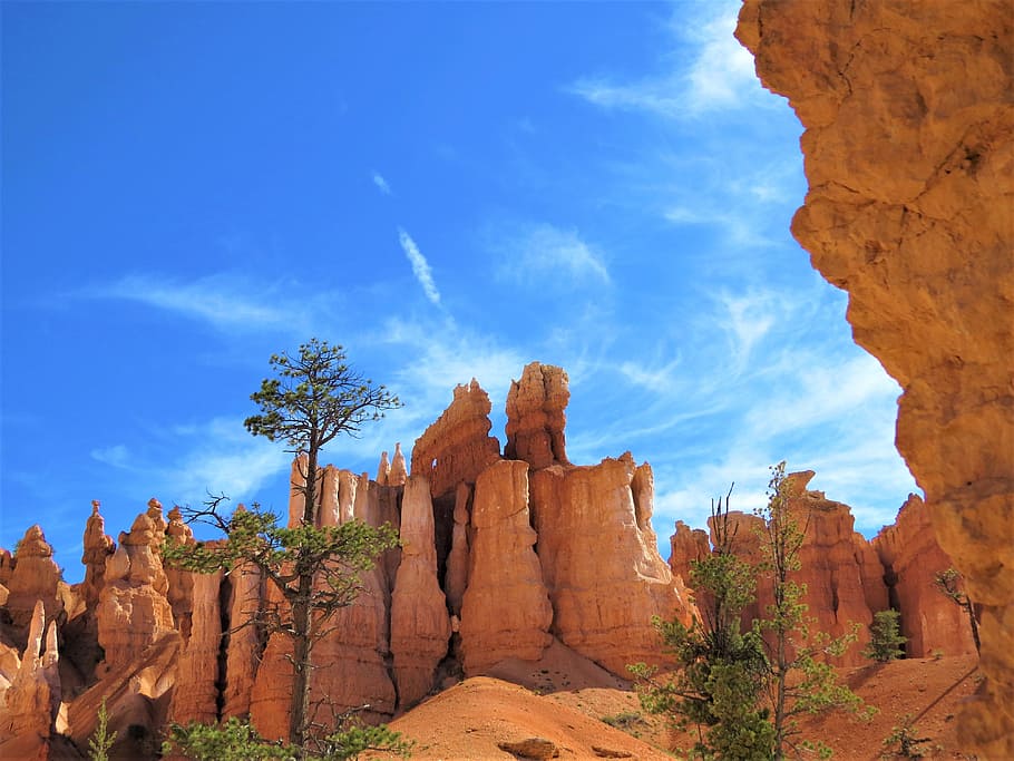 Bryce Canyon, Utah, Sandstone, utah, red sandstone, blue sky, trees, nature, landscape, scenics, desert