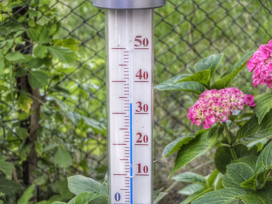 termometer, gelombang panas, hangat, jumlah, alam, instrumen pengukuran, tidak ada orang, menanam, di luar rumah, hari