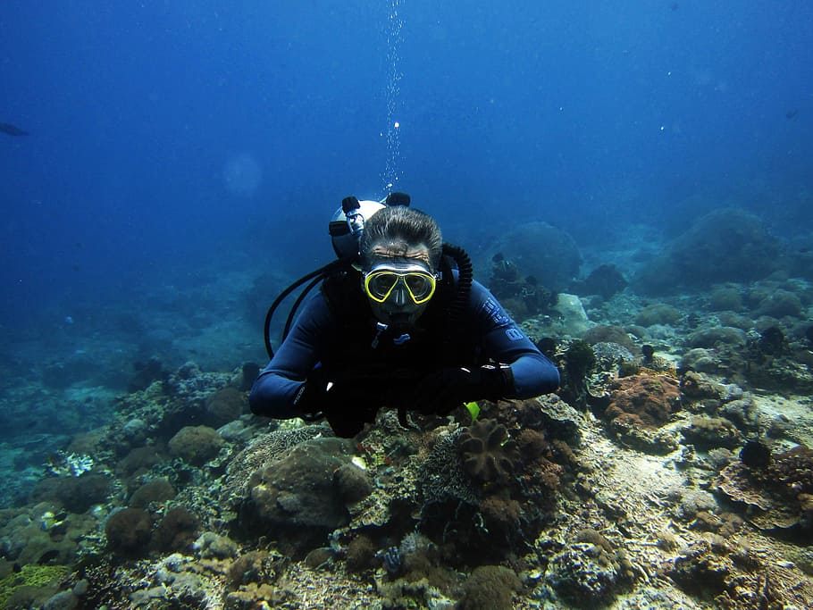 Penyelam, Penyelam Scuba, menyelam, bawah air, laut, Menyelam bawah air, karang, alam, snorkeling, menyelam ke dalam Air