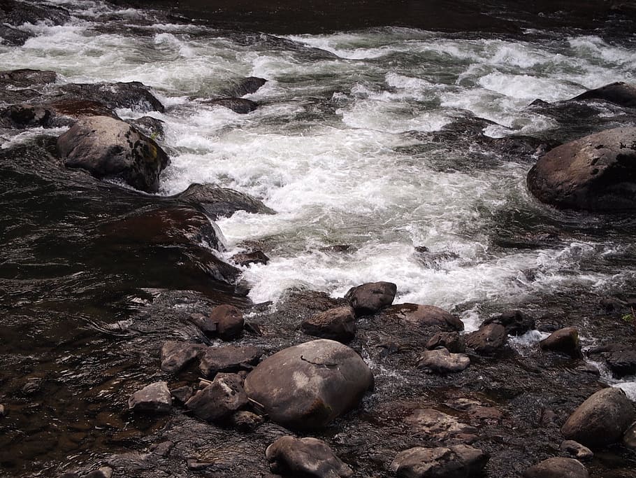 río, corriente, agua, naturaleza, escénico, vibrante, al aire libre, cascadas, natural, estado de Washington