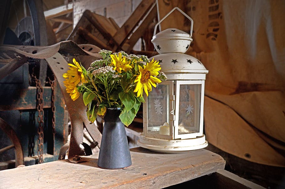 lantern, lamp, candle, flower, light, yard, lighting, metal, vintage, bright