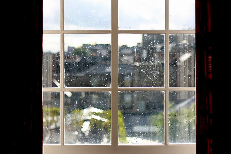 claro, janela de vidro, branco, armação de aço, Pingo de chuva, Janela, Gota, Gotas, chuva, água