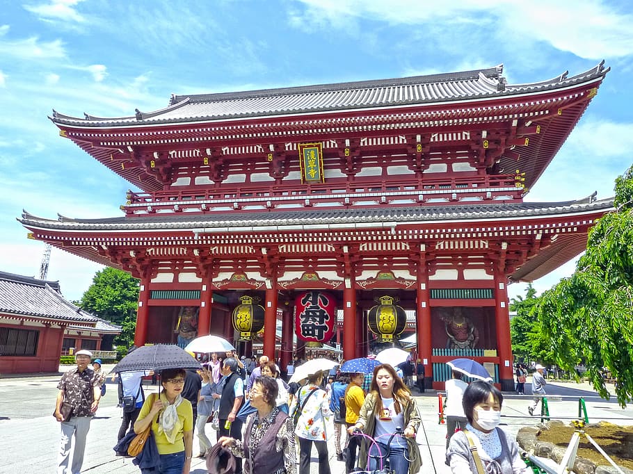 낮은 각도 사진, 사람들, 외부, 탑 사원, 일본, 도쿄, 아사쿠사, 신전, 신사, 관광객