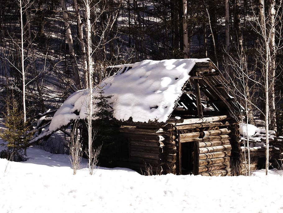 brown wooden house, Old Log Cabin, Winter, Snow, Nature, log, cabin, house, cottage, rustic