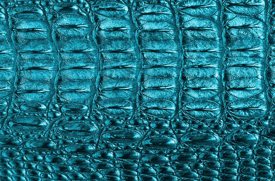 texture, tortie, color, blue, full frame, backgrounds, pattern, close-up, textured, indoors