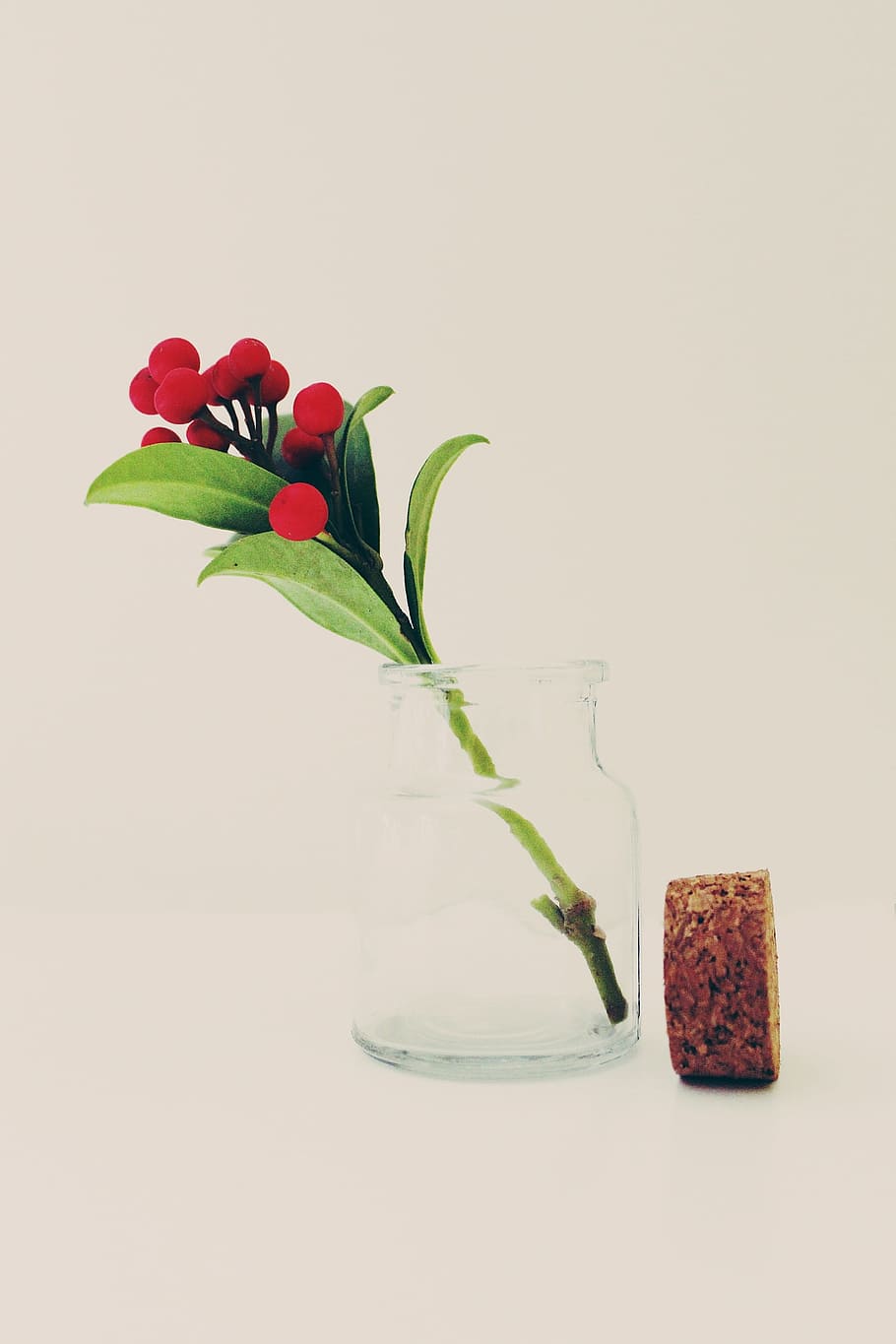 red, fruit, mason jar, cork lid, flower, glass, vase, bottle, cork, plant