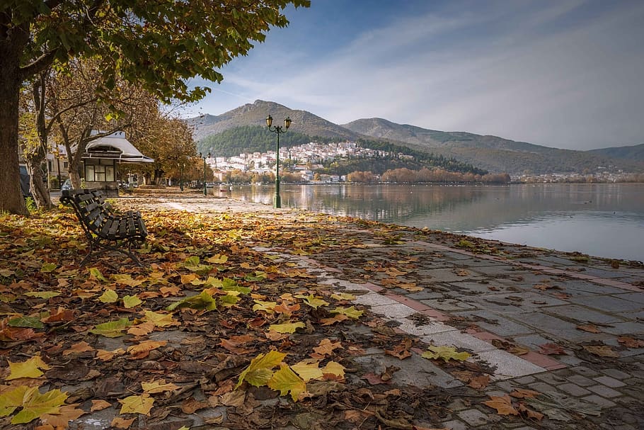 kastoria, lake, autumn, trees, scenic, greece, landscape, atmosphere, colorful, leaf