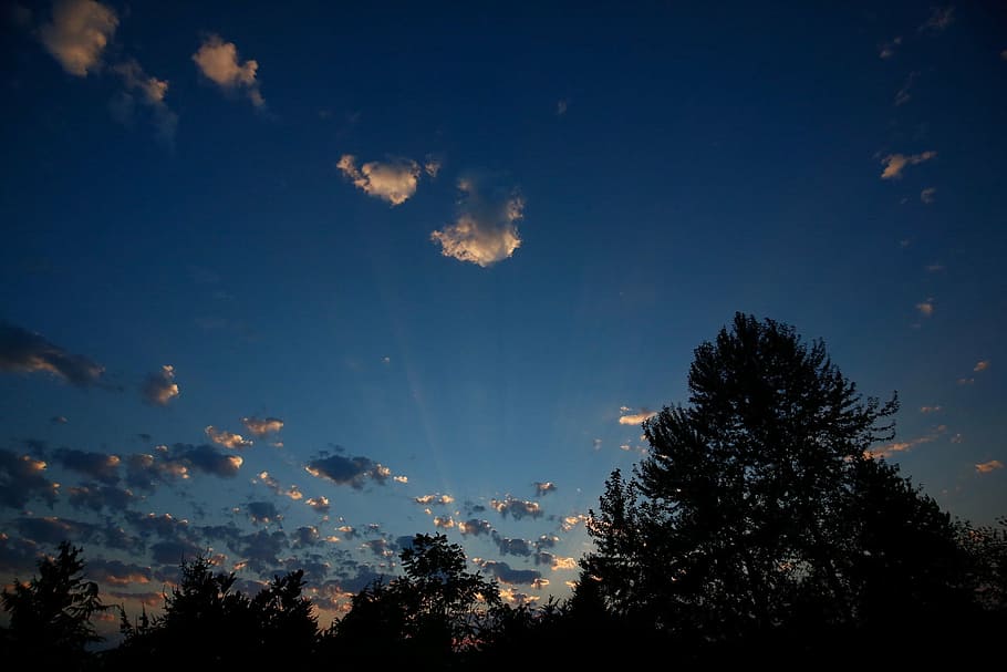 foto de silueta, árboles, azul, cielo, silueta, puesta de sol, nubes, sol, naturaleza, paisaje