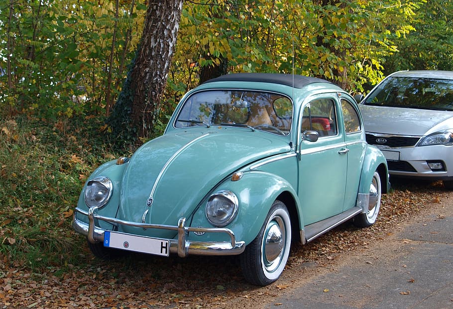 teal volkswagen beetle coupe, parked, green, leaf tree, vw beetle, vw, oldtimer, volkswagen, old, automotive