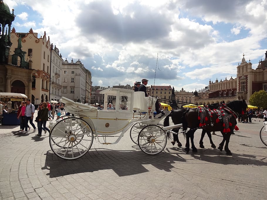 krakow, sky, poland, horses, the horses are, square, clouds, horse-drawn carriage, white, architecture