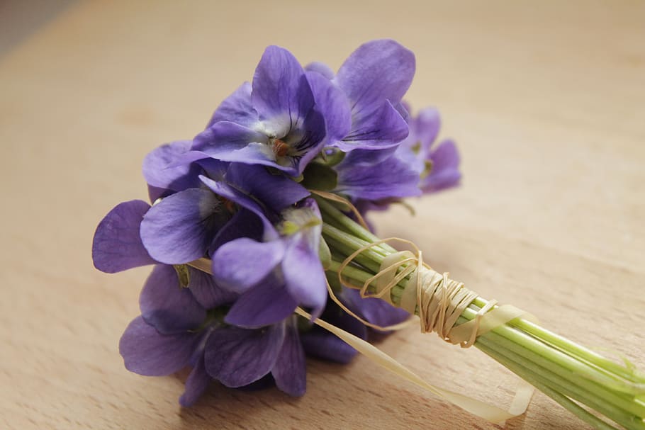 ramo de flores, violeta, morado, planta floreciendo, flor, planta, mesa,  belleza en la naturaleza, púrpura, primer plano | Pxfuel