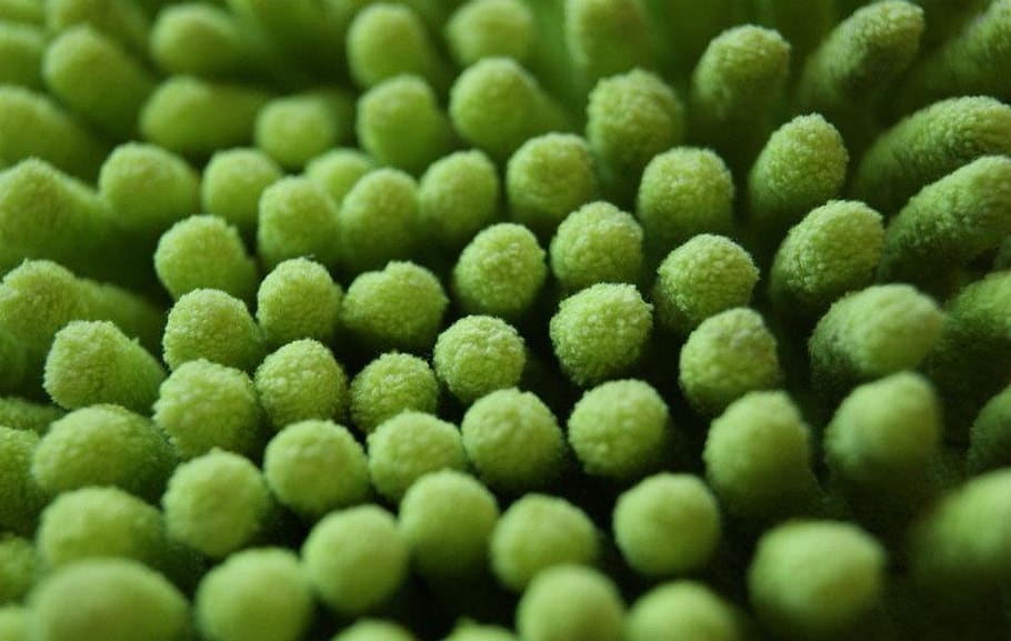 macro, duster, green, textiles, detail, structure, texture, simplicity, minimalism, green color