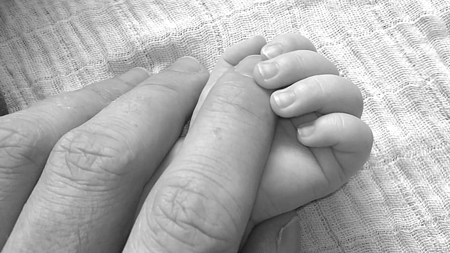mão pessoa, mão bebê, bebê, doce, feliz, humano, papai, mãos, mão, preto e branco