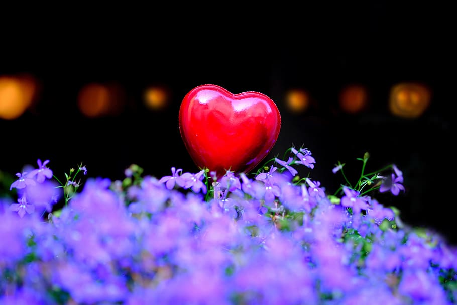 heart, red, love, red heart, valentine's day, background, valentine, symbol, romance, close