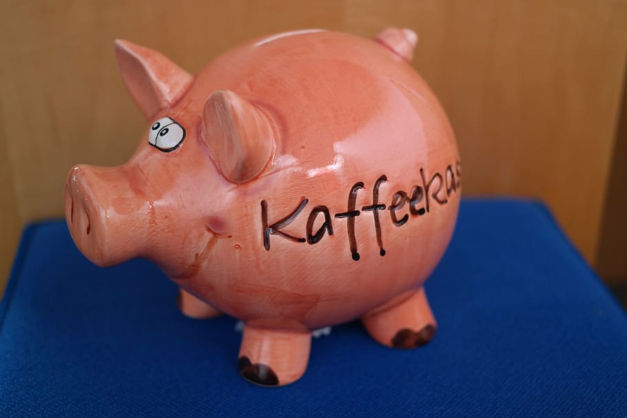 piggy bank, coffee checkout, checkout, pig, porcelain figurine, money, revenue, donate, funny, cheerful