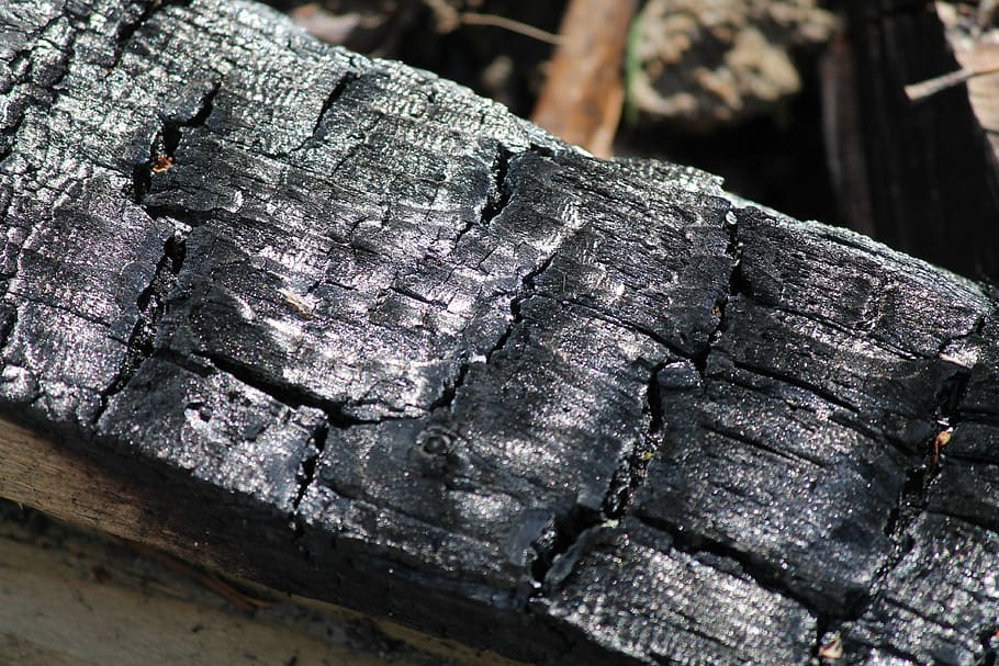 Carbono, madera, fogata, negro, se apagó, fuego, leña, caldo, carbonizado, corte de hilo de peine