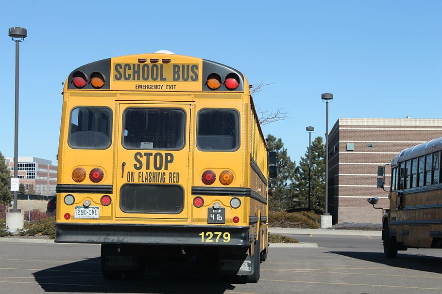 amarelo, ônibus escolar, estacionado, estrada, escola, ônibus, transporte, veículo, elementar, segurança