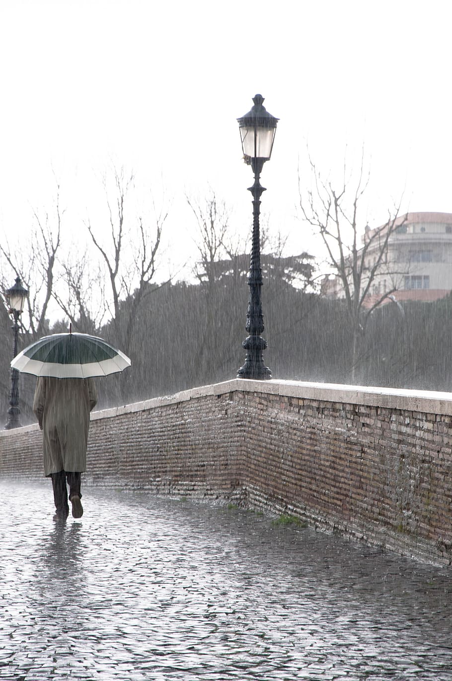 person, brown, coat, holding, umbrella, walk, bridge, lantern post, rain, walk in
